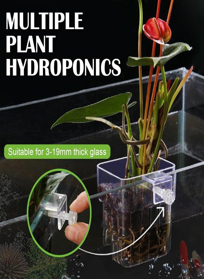 Youdaju 12 Pack Top Hanging Fish Tank Plant Pot Clear Aquarium Plant Holder with Hook Aquatic Plant Cup Holder Aquarium Aquatic P-lant Pot Water Landscape Decoration for P-lant Water Feature Decoration - Image 5